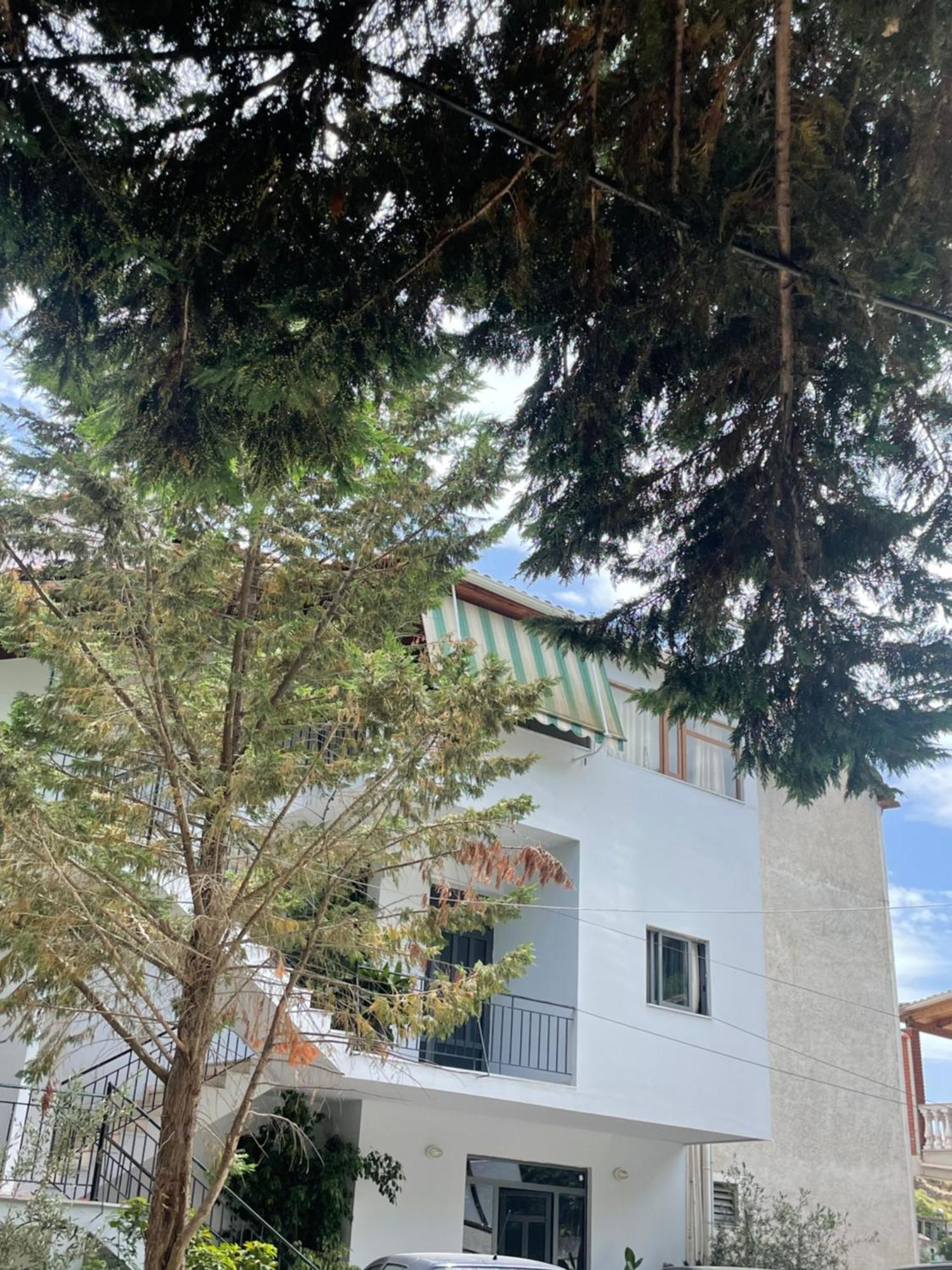 Hotel Freskia Sarandë エクステリア 写真