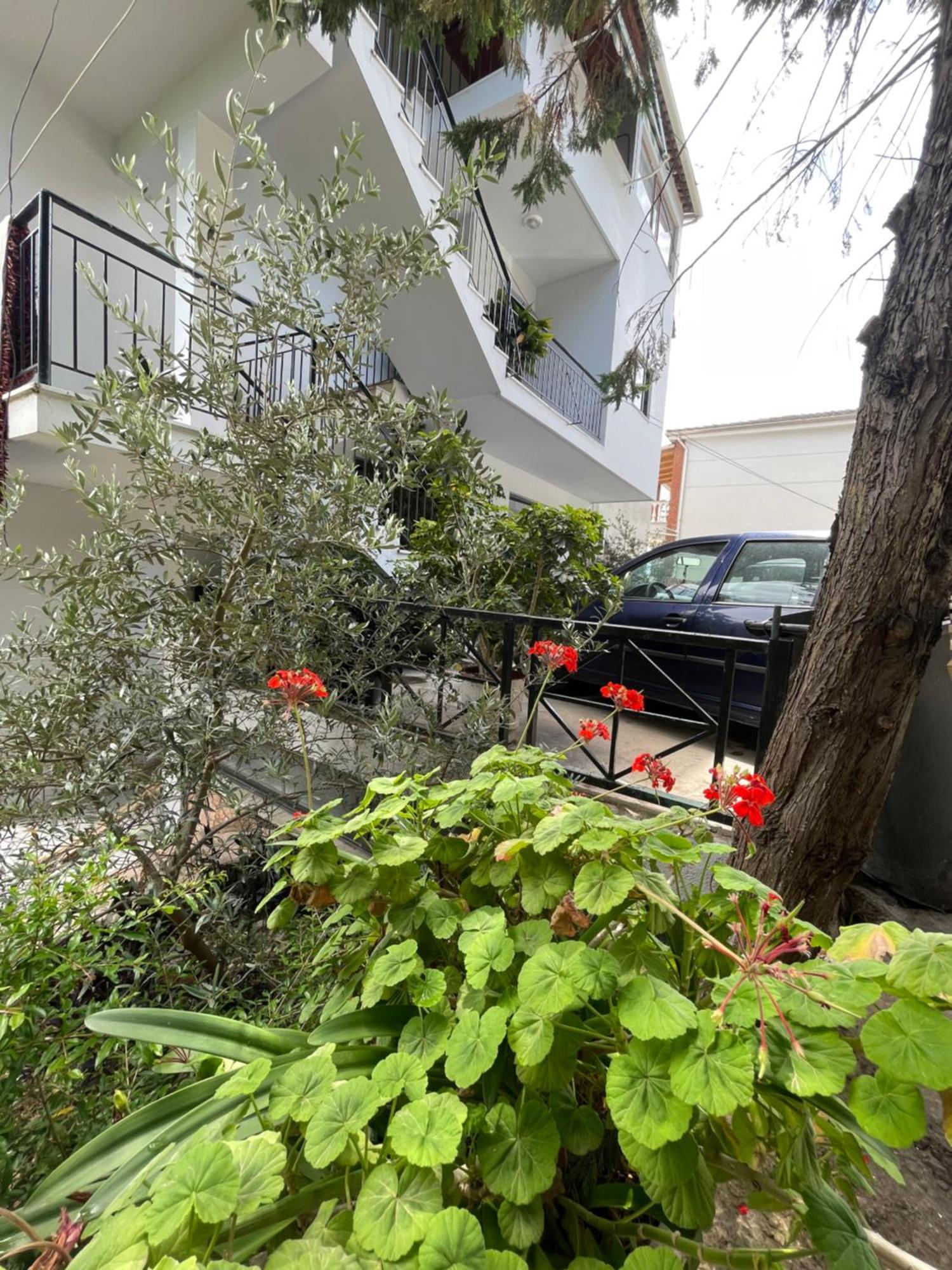 Hotel Freskia Sarandë エクステリア 写真