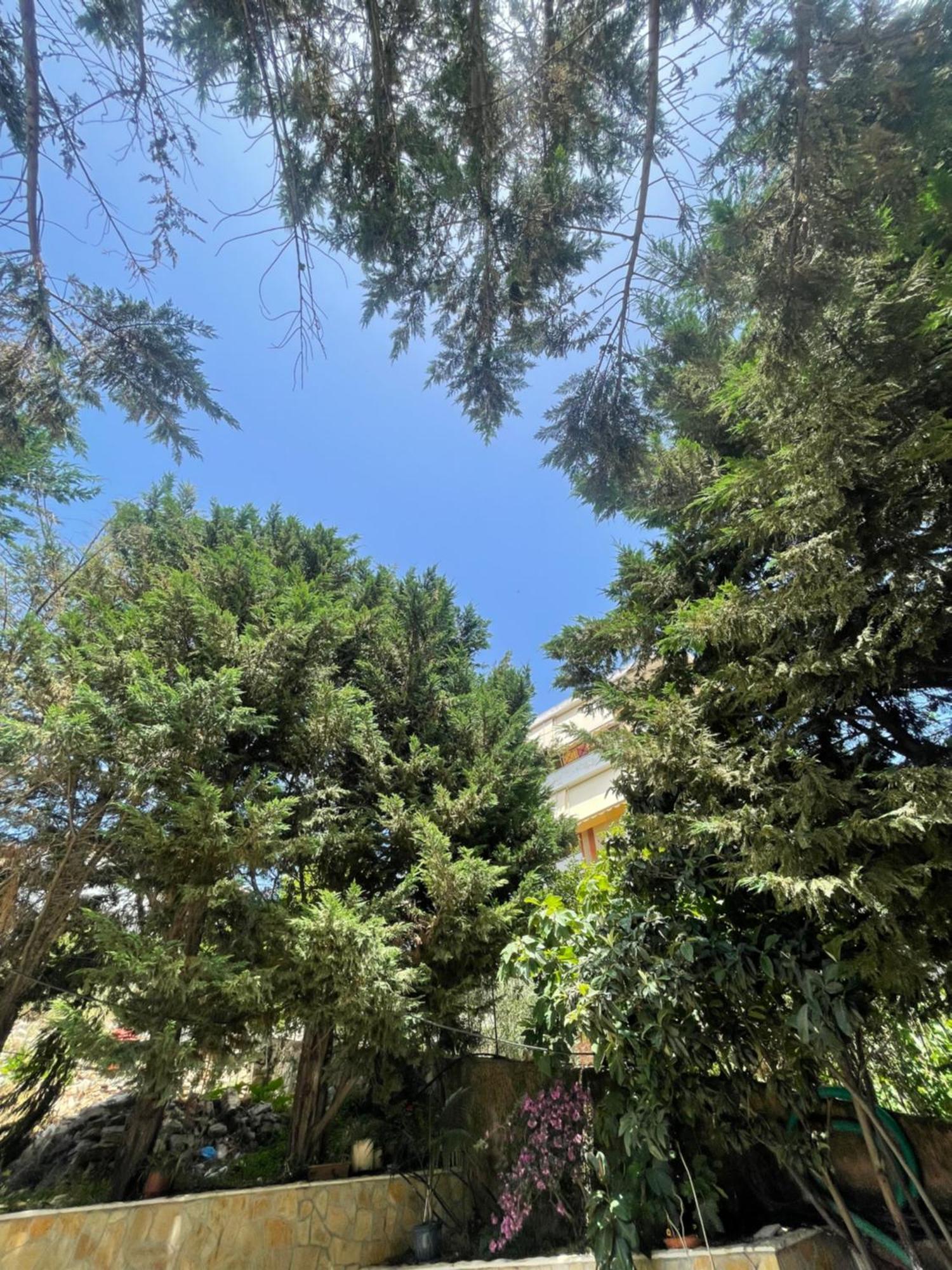 Hotel Freskia Sarandë エクステリア 写真